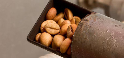 P&ouml;rk&ouml;lt k&aacute;v&eacute;szemek &ndash; A s&ouml;t&eacute;tebb sz&iacute;nt eredm&eacute;nyező p&ouml;rk&ouml;l&eacute;s kevesebb koffeint jelent