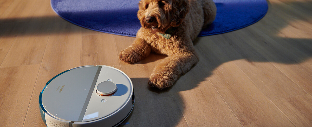 A robotporsz&iacute;v&oacute; vez&eacute;rl&eacute;se