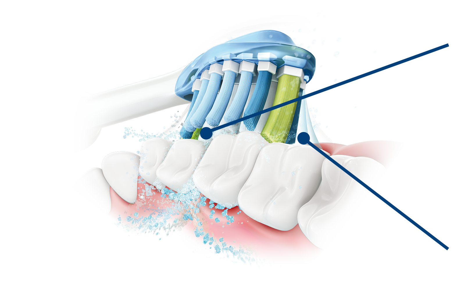 A helyes fogmos&aacute;s