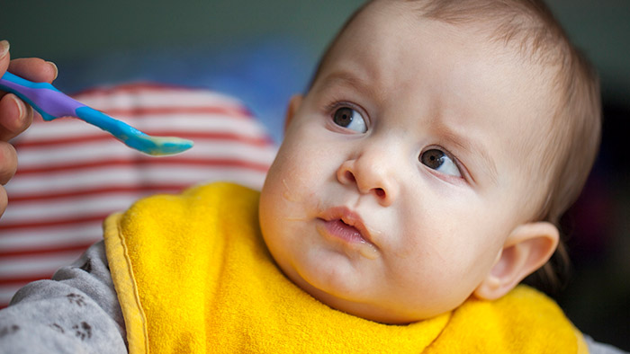 A szilárd táplálékok bevezetése