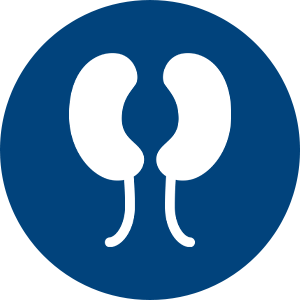Eg&eacute;szs&eacute;g&uuml;gyi &aacute;llapot (pl. m&aacute;j- vagy vesebetegs&eacute;g, gyomor-b&eacute;lrendszeri reflux vagy cukorbetegs&eacute;g).